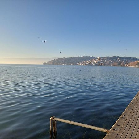 Mateski Guest House Ohrid Bagian luar foto