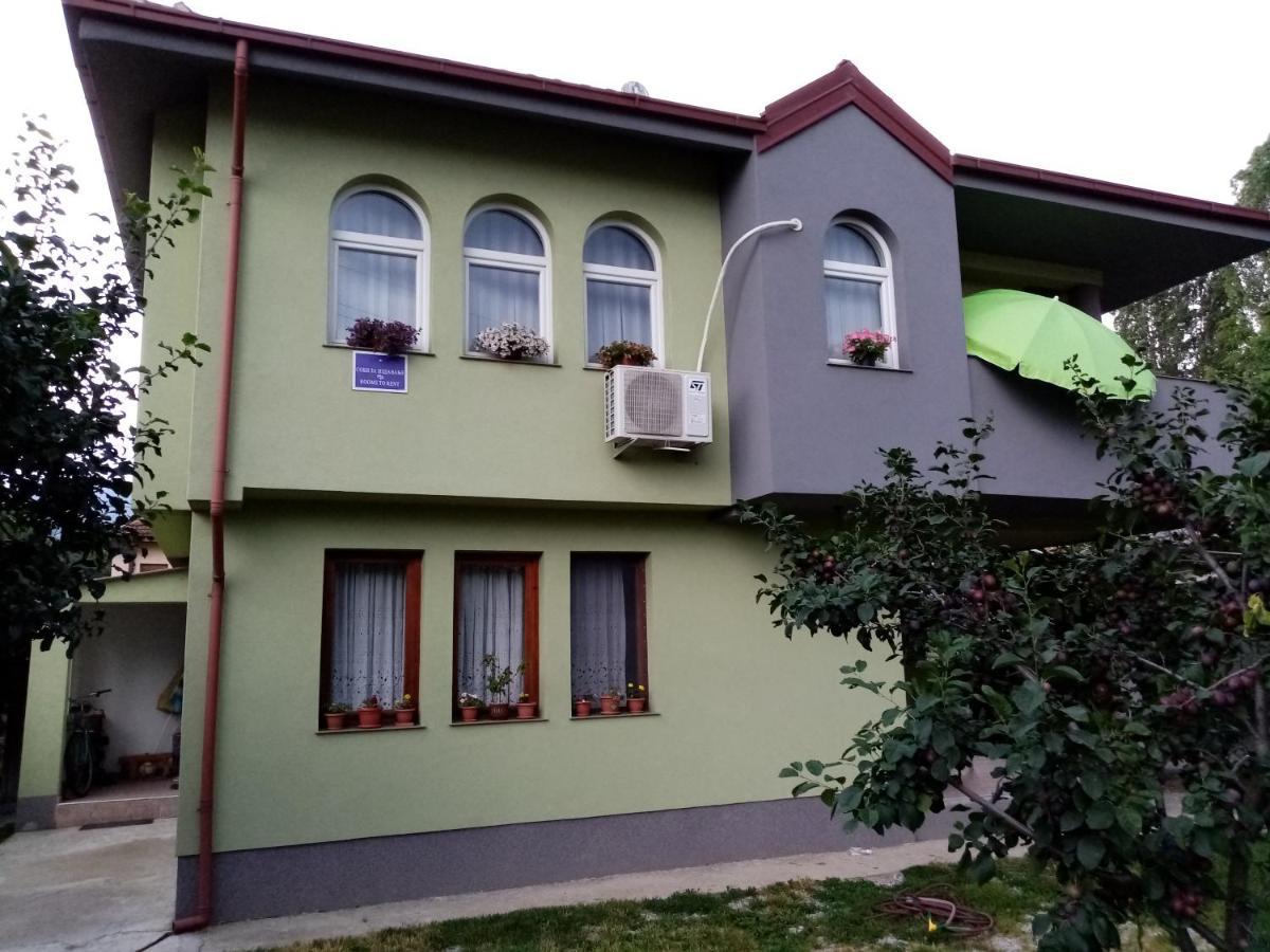 Mateski Guest House Ohrid Bagian luar foto