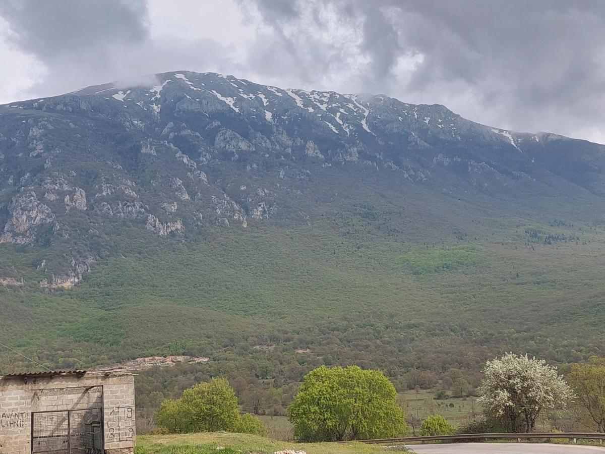 Mateski Guest House Ohrid Bagian luar foto