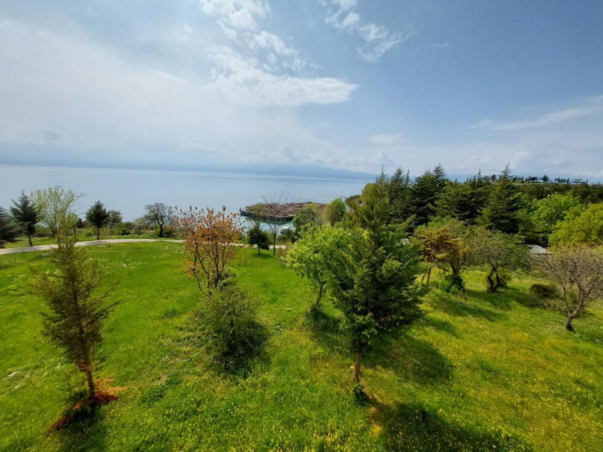 Mateski Guest House Ohrid Bagian luar foto
