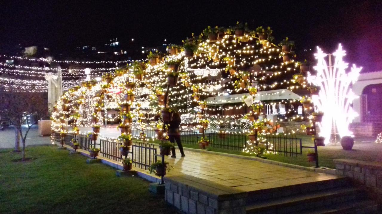 Mateski Guest House Ohrid Bagian luar foto